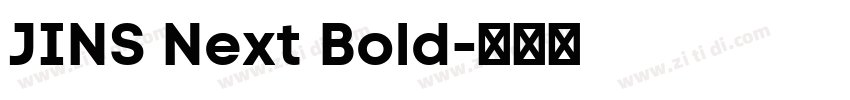 JINS Next Bold字体转换